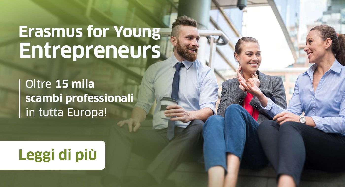 Erasmus for Young Entrepreneurs